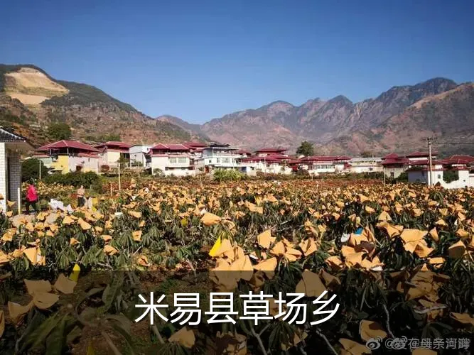 米易县草场乡